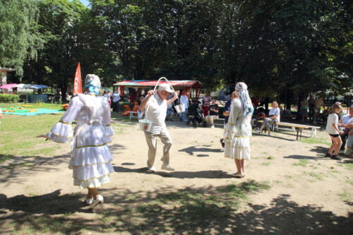 IMG 8216 (1)