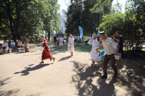IMG 8319 (1)