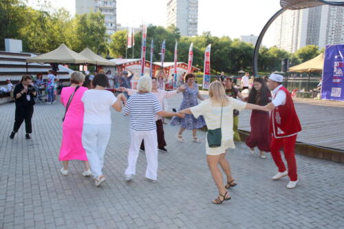 IMG 8798