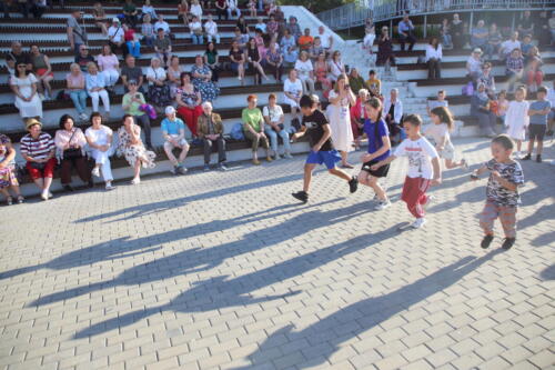 IMG 8833 (1)